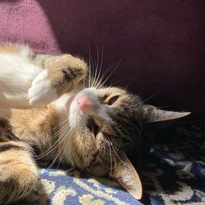 Meet your Posher, Sara